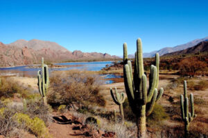 vuelta a los valles calchaquies