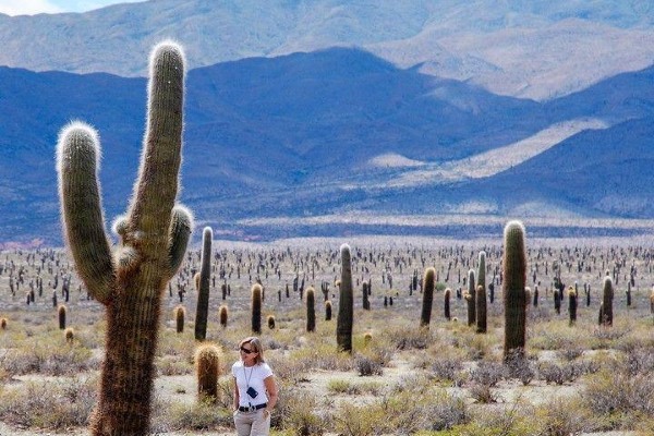 camino a cachi salta