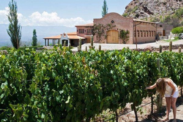 excursion a cafayate desde salta