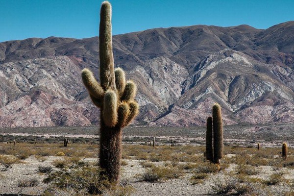 qué hacer en Cachi Salta