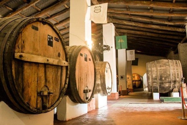 Bodegas en Salta