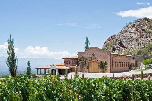 vendimia en Cayafate