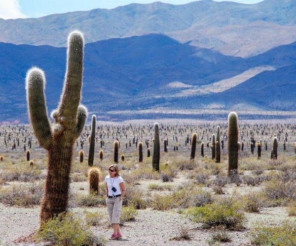 historia del parque nacional los cardones